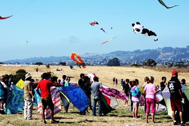Festival Of Kites Wallpapers   Android Apps And Tests   AndroidPIT