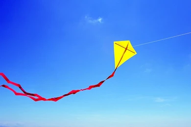 269617 Kite 1152x768px By Oliver Ebert