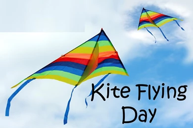 2014 Kites Flying Day Quotes Wallpapers