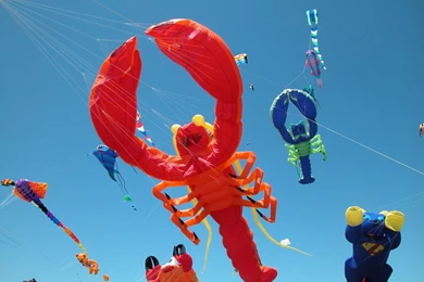 New Different Style Of Kites Flying In Sky Makar Sankranti Laptop ...