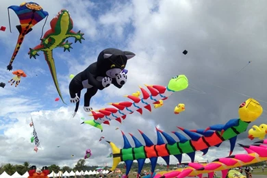 Happy Makar Sankranti Kites SMS, Wallpapers, Photos