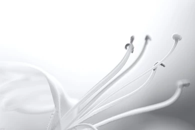 1680x1050 White World Wallpaper, Music And Dance Wallpapers