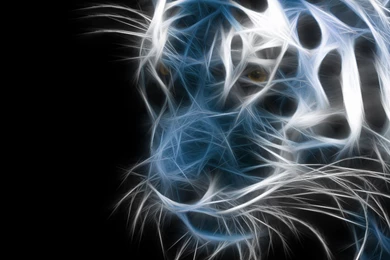 3840x2160 animal lion wallpapers hd wallpaper hd widescreen ...