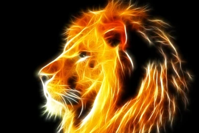 Quotes,lions Quotes Lions Motivation Gazelle 1366x768 Wallpapers ...