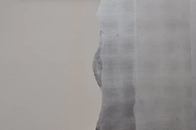 De Gournay — ANNA WILSON INTERIORS