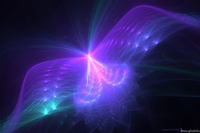 3d Butterfly Wallpapers