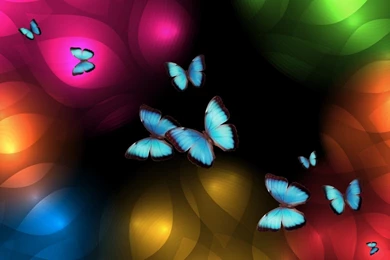 Butterflies Wallpapers: Beautiful Yellow Butterfly Flowers Photos ...