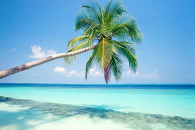 Beach Scenery Desktop Hd Wallpapers