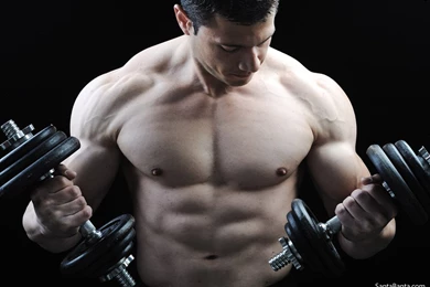 Bodybuilding Wallpapers