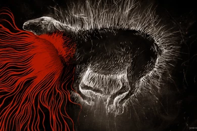 Free Desktop Wallpapers: February 2012