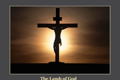 The Lamb Of God. [Desktop Wallpapers 800x600]