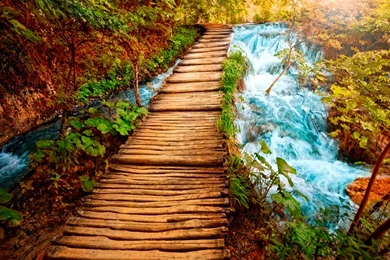 Nature Images Free Download