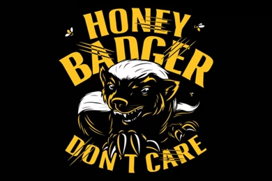 Honey Badger (Don't Care)   YouTube