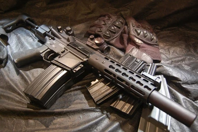 Aac Honey Badger Wallpapers • I Backgrounds   I Backgrounds