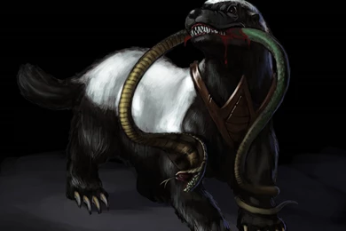 Honey Badger Symbol Images