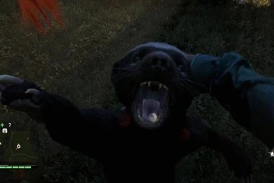 Far Cry 4   Honey Badger Attack Animation (PC HD) [1080p]   YouTube