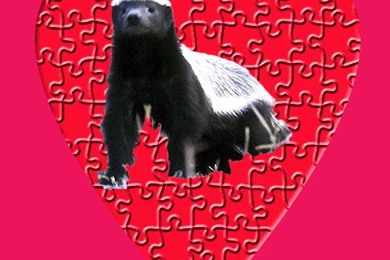 Browsing Wallpapers On DeviantArt