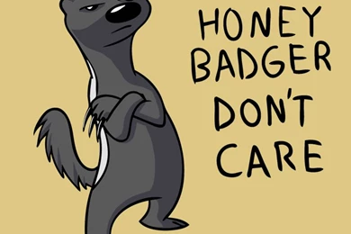 Honey Badger Don't Care By Gatorvenom On DeviantArt