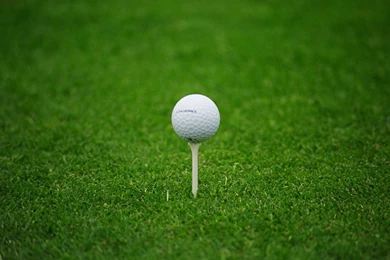 Snow Golf Maybe?   Golf Talk   The Sand Trap .com