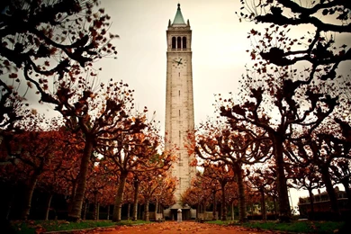 My Campus Is Beautiful This Time Of Year. (straight From My ...