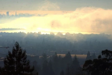 Wallpapers Downloads