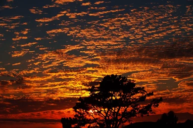 An Evening In Berkeley By VaggelisFragiadakis On DeviantArt