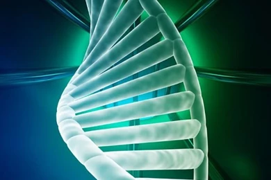 DNA Live Wallpapers   Android Apps On Google Play