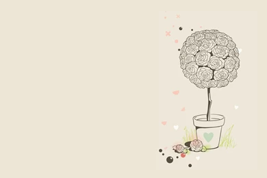 Pot With The Rose Wallpapers   Drawn Wallpaper,Drawn Wallpapers