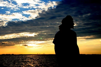 Wallpapers Longboarding Longboard Free And Screensaver 1024x768 ...