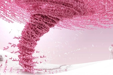 Hundreds Of Small Pink Rabbits, 1366x768 Pixels : Wallpapers ...