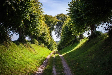 1920x1200 Path Browser Themes & Desktop Backgrounds