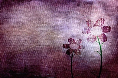 Wallpapers Cute Pink   Wallpapers