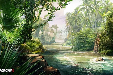 Far Cry 3 Wallpapers