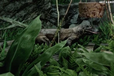 Far Cry 3 Wallpapers 11