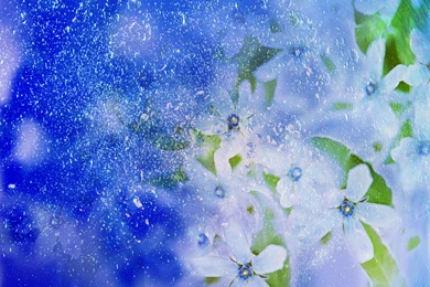 Desktop Wallpapers · Gallery · Windows 7 · Blue Haze   Windows 7 ...