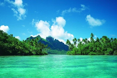 Bh5006 Decorative Sea Wall Mural Wallpapers   Buy Decorative ...