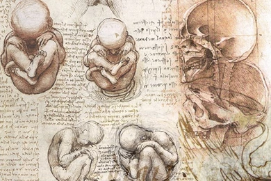 Da Vinci Wallpapers V1.0b By Digitalarts On DeviantArt