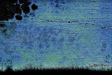 Best Backgrounds Site Wallpapers