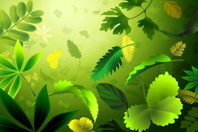 Free Download Natural Wallpaper Backgrounds Green Nature Wallpapers ...