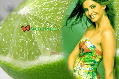 Excellent Bollywood Actress Soman Kapoor,The Most Smartest ...