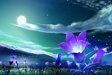 3d Nature Wallpapers Collection (43+)