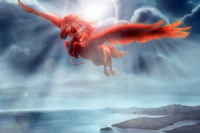 Wallpapers > Fantasy > HD Pegasus Wallpapers @ Collect HD