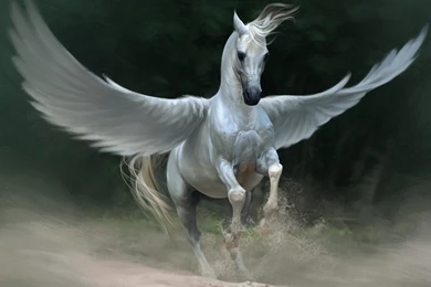 Pegasus Wallpapers Pictures HD