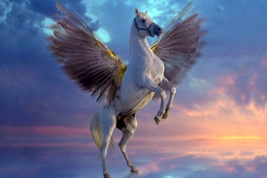 Pegasus Wallpapers Pictures HD