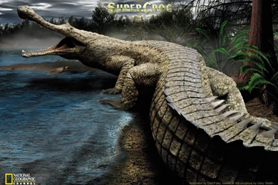 3D Nature Wallpapers   Wallpapers HD Base