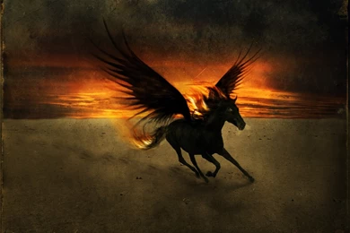 Wallpapers > Fantasy > HD Pegasus Wallpapers @ Collect HD
