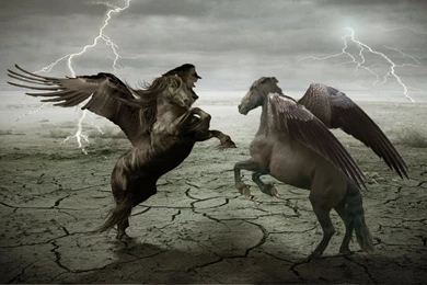 14 Pegasus HD Wallpapers