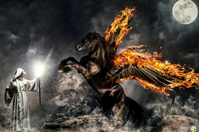 Pegasus In Flames   (