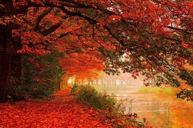 Autumn Wallpapers Free Download AtozWallpapers