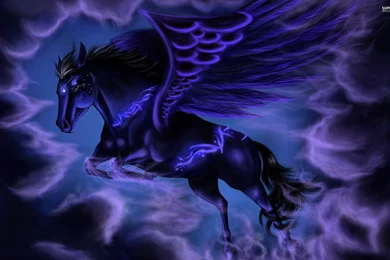 Pegasus : Desktop And Mobile Wallpapers : Wallippo